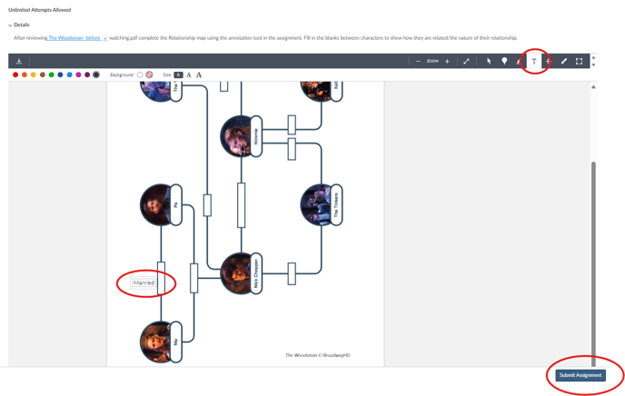 6-Student Assignment View- Use Text Tool to annotate