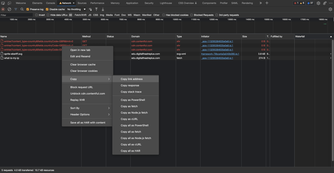 Screenshot of browser network log showing failed requests